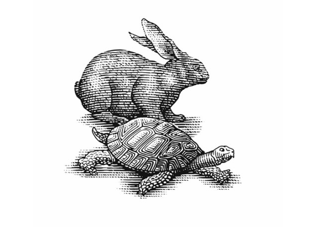 Hare &amp; tortoise art
